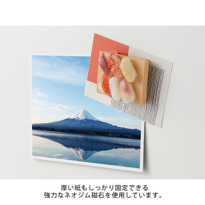 Sushi Magnet
