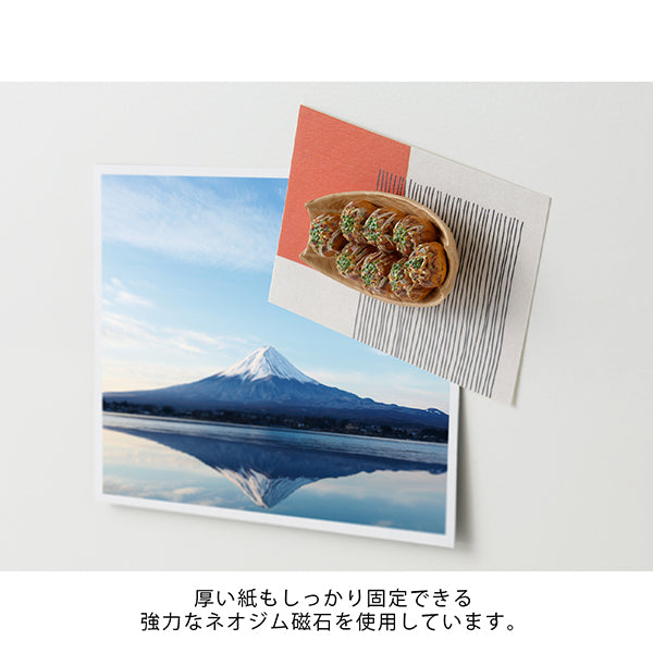 Takoyaki Magnet