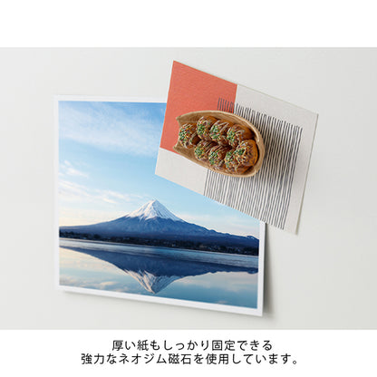 Takoyaki Magnet