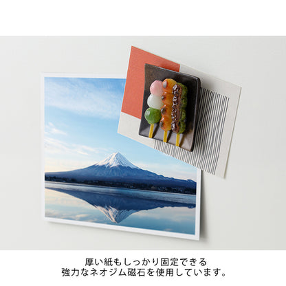 Dango Set Magnet